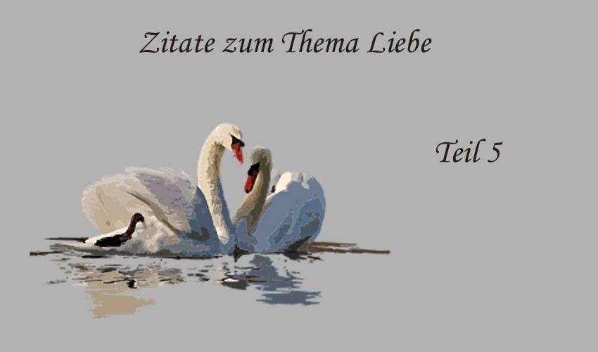 keine leidenschaft in der beziehung keine leidenschaft in der beziehung